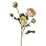 Ranonkel Kunstbloem | Kleur: Groen Wit | Ranunculus kunstbloemen | Lengte ± 50 centimeter | 3 bloemkoppen per steel | Per kunstbloem