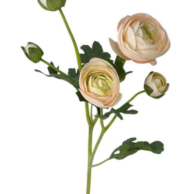 Ranonkel Kunstbloem | Kleur: Groen Wit | Ranunculus kunstbloemen | Lengte ± 50 centimeter | 3 bloemkoppen per steel | Per stuk