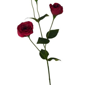 Arti Flora Lisianthus Kunstbloem | Kleur: Rood | Eustoma kunstbloemen | Lengte ± 65 centimeter | Per stuk