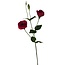 Lisianthus Kunstbloem | Kleur: Rood | Eustoma kunstbloemen | Lengte ± 65 centimeter | Per kunstbloem