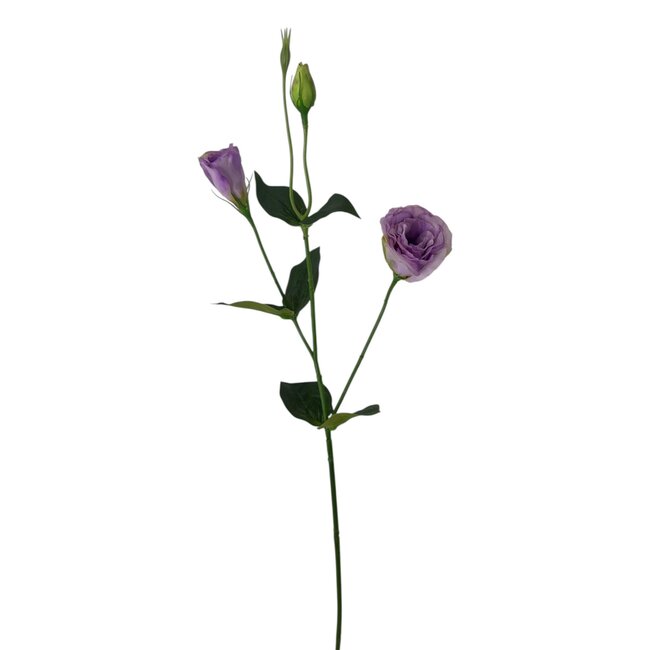 Lisianthus Kunstbloem | Kleur: Lila Paars | Eustoma kunstbloemen | Lengte ± 65 centimeter | Per kunstbloem