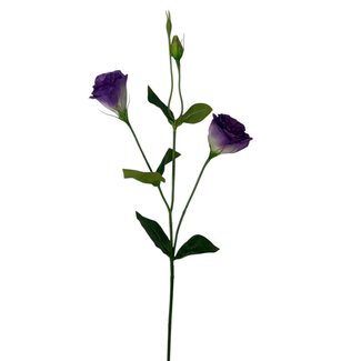 Arti Flora Lisianthus Fleur artificielle | Couleur: Violet | Eustoma fleurs artificielles | Longueur ± 65 centimètre | Par pièce