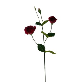 Arti Flora Lisianthus Kunstbloem | Kleur: Donkerrood | Eustoma kunstbloemen | Lengte ± 65 centimeter | Per kunstbloem