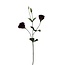 Lisianthus Kunstbloem | Kleur: Bordeauxrood | Eustoma kunstbloemen | Lengte ± 65 centimeter | Per kunstbloem