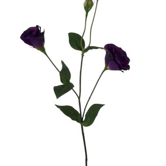 Arti Flora Lisianthus Kunstbloem | Kleur: Paars | Eustoma kunstbloemen | Lengte ± 65 centimeter | Per stuk