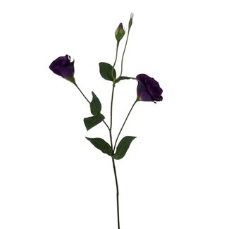 Arti Flora Lisianthus Kunstbloem | Kleur: Paars | Eustoma kunstbloemen | Lengte ± 65 centimeter | Per kunstbloem