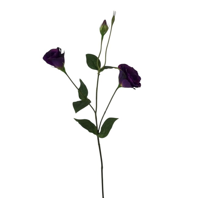 Lisianthus Kunstbloem | Kleur: Paars | Eustoma kunstbloemen | Lengte ± 65 centimeter | Per kunstbloem