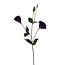 Lisianthus Kunstbloem | Kleur: Paars | Eustoma kunstbloemen | Lengte ± 65 centimeter | Per kunstbloem
