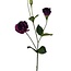 Lisianthus Kunstbloem | Kleur: Donkerpaars | Eustoma kunstbloemen | Lengte ± 65 centimeter | Per stuk