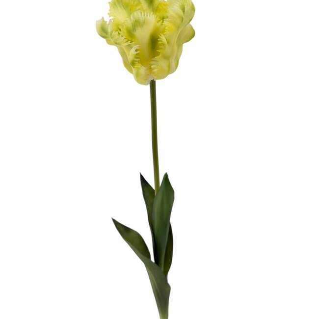 Parkiet Tulp Kunstbloem | Kleur: Geelgroen | Tulipa kunstbloemen | Lengte ± 60 centimeter | Per stuk