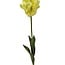 Parkiet Tulp Kunstbloem | Kleur: Geelgroen | Tulipa kunstbloemen | Lengte ± 60 centimeter | Per stuk