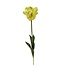 Parkiet Tulp Kunstbloem | Kleur: Geelgroen | Tulipa kunstbloemen | Lengte ± 60 centimeter | Per stuk