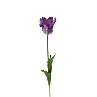 Arti Flora Perruche Tulipe Fleur artificielle | Couleur: Violet Blanc | Tulipa fleurs artificielles | Longueur ± 60 centimeter | Par pièce