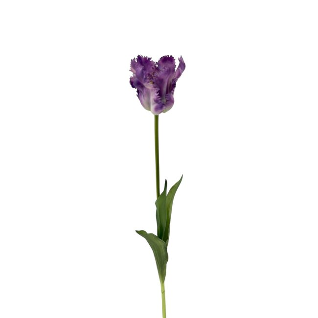 Parkiet Tulp Kunstbloem | Kleur: Paars Wit | Tulipa kunstbloemen | Lengte ± 60 centimeter | Per stuk