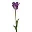 Parkiet Tulp Kunstbloem | Kleur: Paars Wit | Tulipa kunstbloemen | Lengte ± 60 centimeter | Per stuk