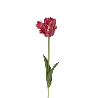 Arti Flora Parakeet Tulip Artificial Flower | Colour: Pink | Tulipa artificial flowers | Length ± 60 centimetre | Per piece