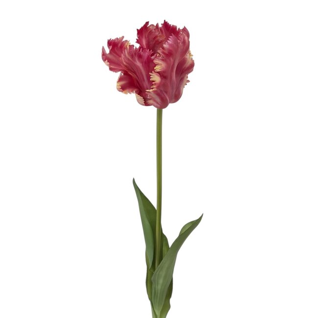 Parkiet Tulp Kunstbloem | Kleur: Roze | Tulipa kunstbloemen | Lengte ± 60 centimeter | Per stuk