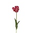 Parkiet Tulp Kunstbloem | Kleur: Roze | Tulipa kunstbloemen | Lengte ± 60 centimeter | Per stuk