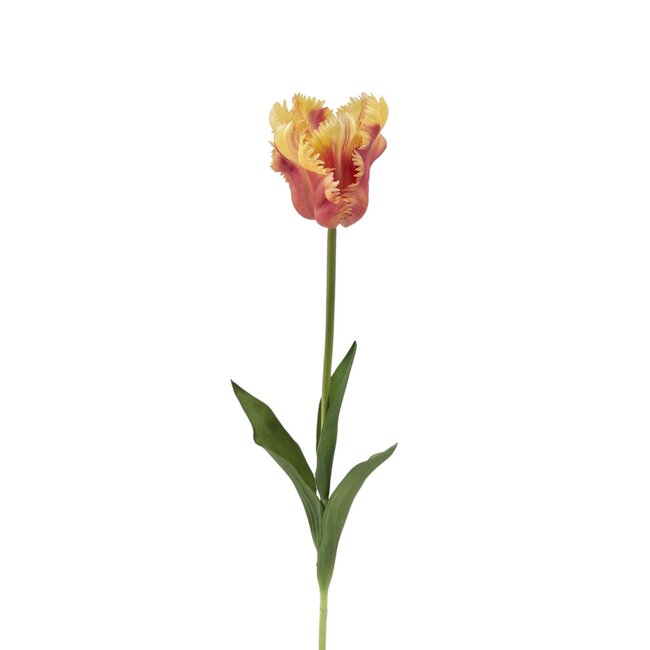 Parkiet Tulp Kunstbloem | Kleur: Geeloranje | Tulipa kunstbloemen | Lengte ± 60 centimeter | Per stuk