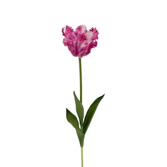 Arti Flora Perruche Tulipe Fleur artificielle | Couleur: Rose Blanc | Tulipa fleurs artificielles | Longueur ± 60 centimeter | Par pièce
