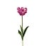 Parkiet Tulp Kunstblume | Farbe: Rosa Weiß | Tulipa Kunstblumen | Länge ± 60 centimeter | Pro Stück