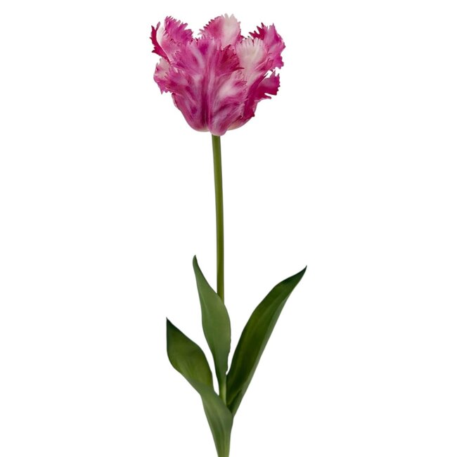 Parkiet Tulp Kunstbloem | Kleur: Roze Wit | Tulipa kunstbloemen | Lengte ± 60 centimeter | Per stuk