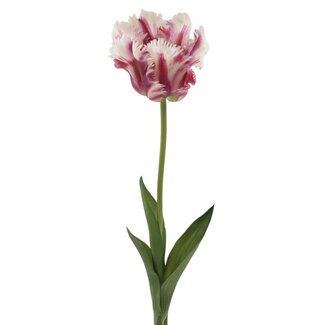 Arti Flora Parkiet Tulp Kunstbloem | Kleur: Wit Paars | Tulipa kunstbloemen | Lengte ± 60 centimeter | Per stuk