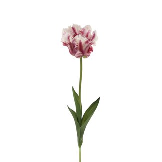 Arti Flora Parkiet Tulp Kunstbloem | Kleur: Wit Paars | Tulipa kunstbloemen | Lengte ± 60 centimeter | Per kunstbloem