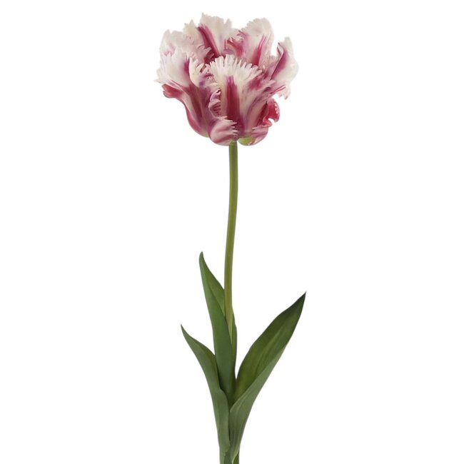 Parkiet Tulp Kunstbloem | Kleur: Wit Paars | Tulipa kunstbloemen | Lengte ± 60 centimeter | Per stuk