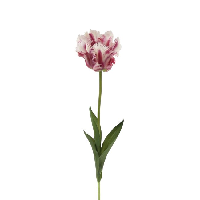 Parkiet Tulp Kunstbloem | Kleur: Wit Paars | Tulipa kunstbloemen | Lengte ± 60 centimeter | Per stuk