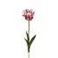 Parkiet Tulp Kunstbloem | Kleur: Wit Paars | Tulipa kunstbloemen | Lengte ± 60 centimeter | Per stuk