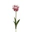 Wellensittich Tulpe Kunstblume | Farbe: Weiß Lila | Tulipa Kunstblumen | Länge ± 60 centimeter | Pro Stück