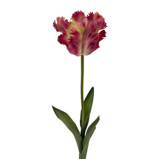 Arti Flora Parkiet Tulp Kunstbloem | Kleur: Wit Rood | Tulipa kunstbloemen | Lengte ± 60 centimeter | Per stuk