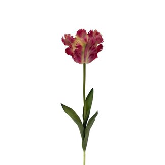 Arti Flora Parkiet Tulp Kunstbloem | Kleur: Wit Rood | Tulipa kunstbloemen | Lengte ± 60 centimeter | Per kunstbloem