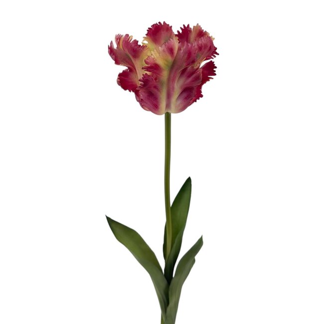 Parkiet Tulp Kunstbloem | Kleur: Wit Rood | Tulipa kunstbloemen | Lengte ± 60 centimeter | Per stuk