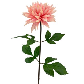 Arti Flora Dahlia Kunstbloem | Kleur: Lichtroze | Lengte ± 70 centimeter | Per stuk
