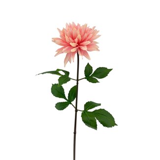 Arti Flora Dahlia Fleur artificielle | Couleur: Rose clair | Longueur ± 70 centimeter | Par pièce