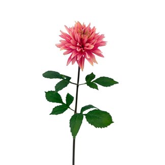 Arti Flora Dahlia Fleur artificielle | Couleur: Rose | Longueur ± 70 centimeter | Par pièce