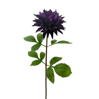 Arti Flora Dahlia Artificial flower | Colour: Purple | Length ± 70 centimetre | Per piece