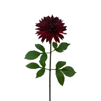 Arti Flora Dahlia fleur artificielle | Couleur: Rouge | Longueur ± 70 centimeter | Par pièce