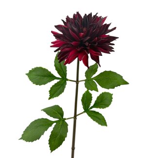 Arti Flora Dahlia Kunstbloem | Kleur: Bordeauxrood | Lengte ± 70 centimeter | Per stuk