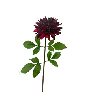 Arti Flora Dahlia Artificial flower | Colour: Bordeaux red | Length ± 70 centimeter | Per piece