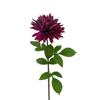 Arti Flora Dahlia artificial flower | Colour: Fuchsia | Length ± 70 centimetre | Per piece