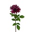 Dahlia Kunstbloem | Kleur: Fuchsia | Lengte ± 70 centimeter | Per kunstbloem
