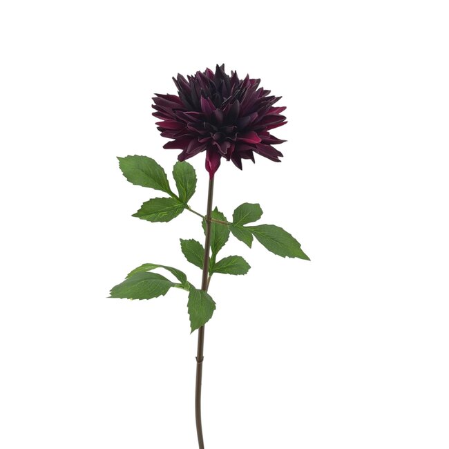 Dahlia Kunstbloem | Kleur: Donkerpaars | Lengte ± 70 centimeter | Per kunstbloem