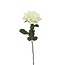 Roos Kunstbloem | Kleur: Natuurlijk Wit | Rozen kunstbloemen | Lengte ± 70 centimeter | Per kunstroos