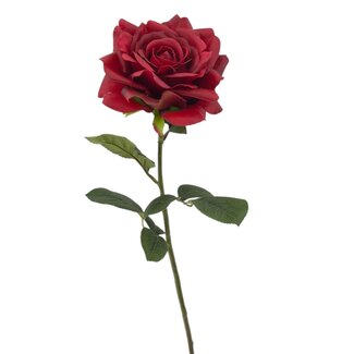 Arti Flora Roos Kunstbloem | Kleur: Rood | Rozen kunstbloemen | Lengte ± 70 centimeter | Per stuk