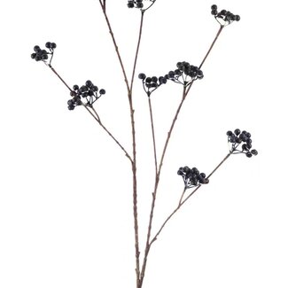 Arti Flora Bessen Tak Kunstbloem | Kleur: Zwart | Lengte ± 110 centimeter | Per stuk