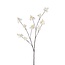 Cherry Blossom Artificial flower | Colour: Natural White | Length ± 115 centimeter | Per piece