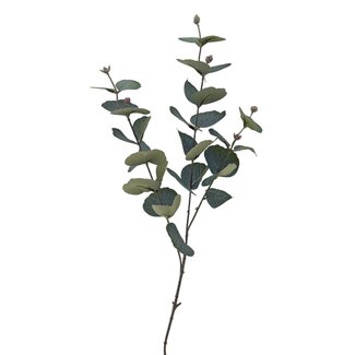 Arti Flora Eucalyptus Tak Kunstbloem | Kleur: Groen | Lengte ± 70 centimeter | Per tak